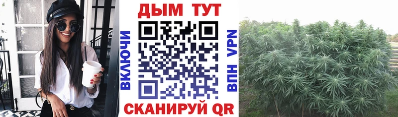 Наркотические вещества Циолковский Бошки Шишки APVP Меф