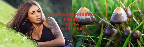 бошки Нягань