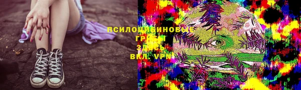 гидра Нязепетровск